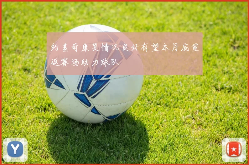 约基奇康复情况良好有望本月底重返赛场助力球队